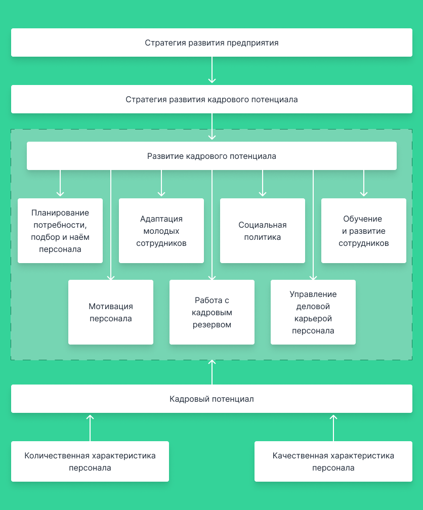 структура управления кадровым потенциалом